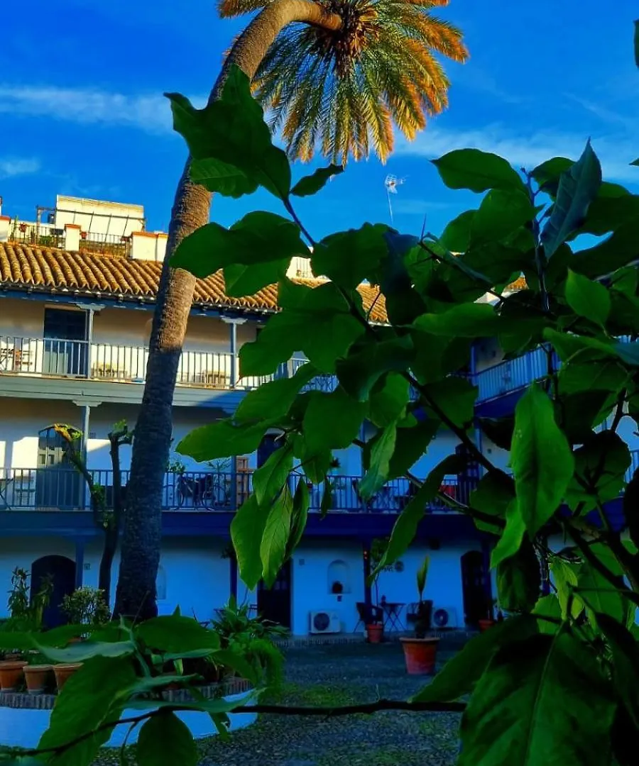 Andalusian Courtyard Apartment Seville
