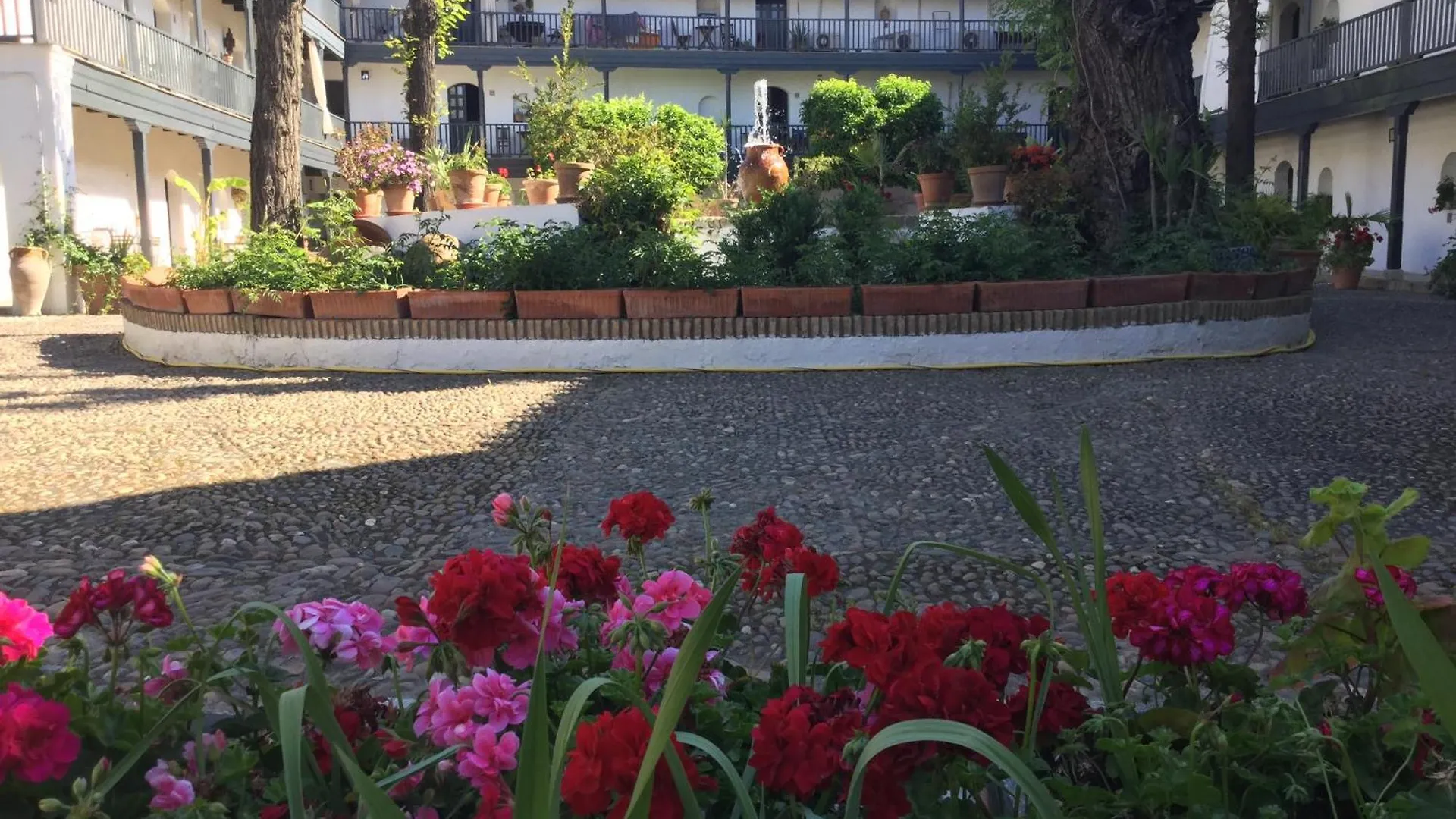 Andalusian Courtyard Apartment Seville 0*,  Spain
