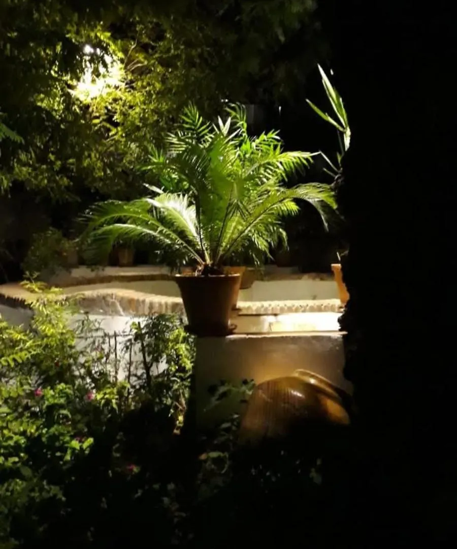 Andalusian Courtyard Apartment Seville
