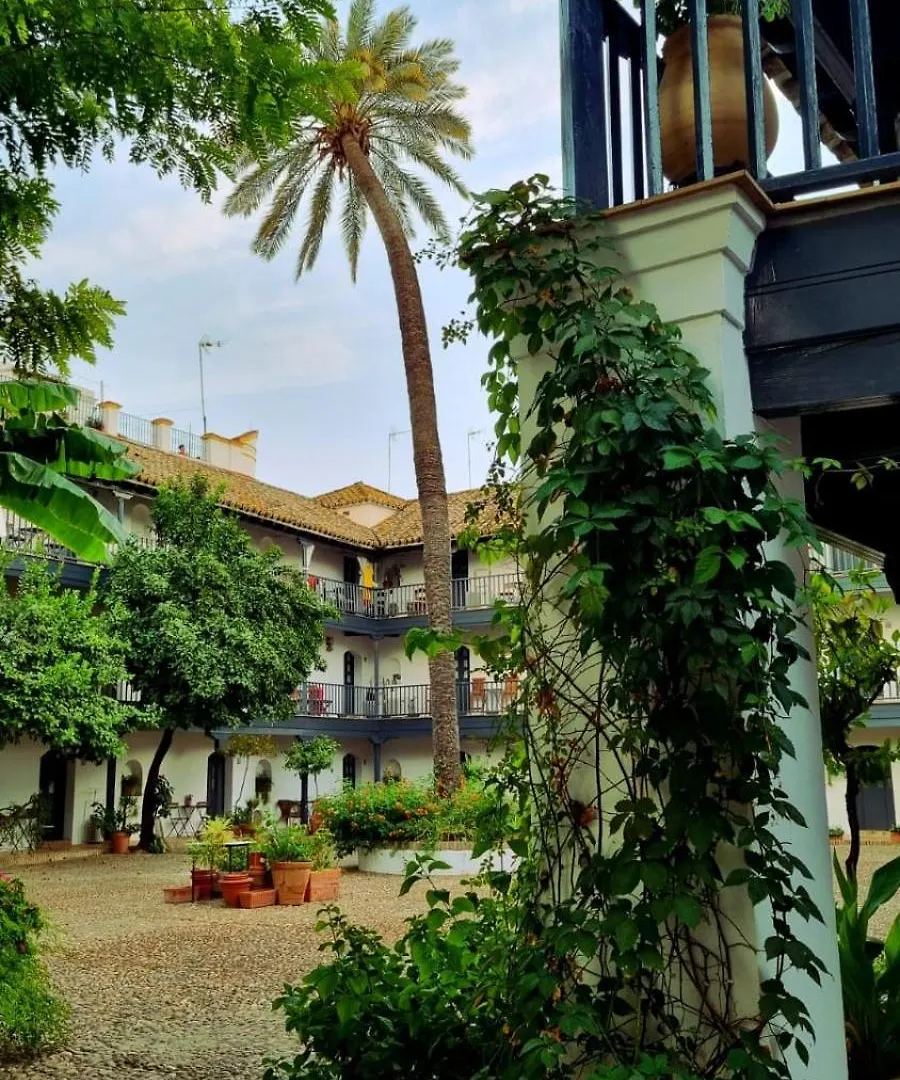 Andalusian Courtyard Apartment Seville Spain