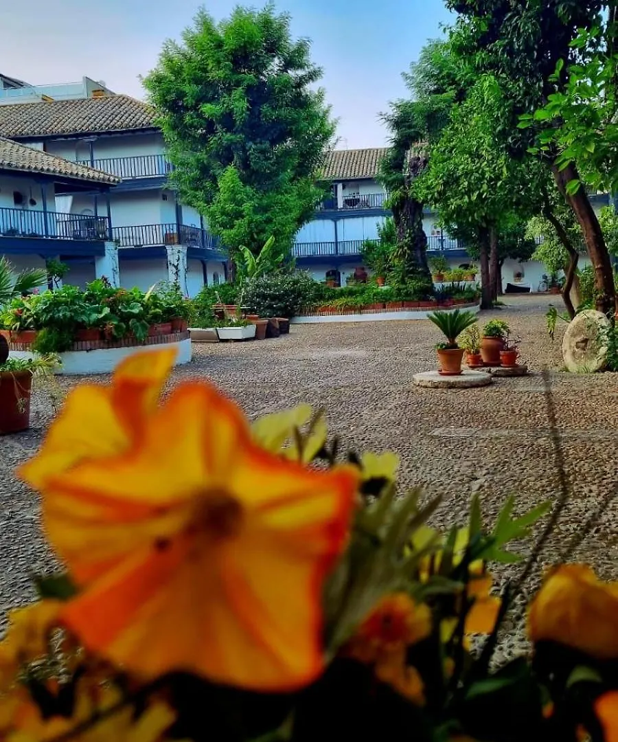 Andalusian Courtyard Apartment Seville