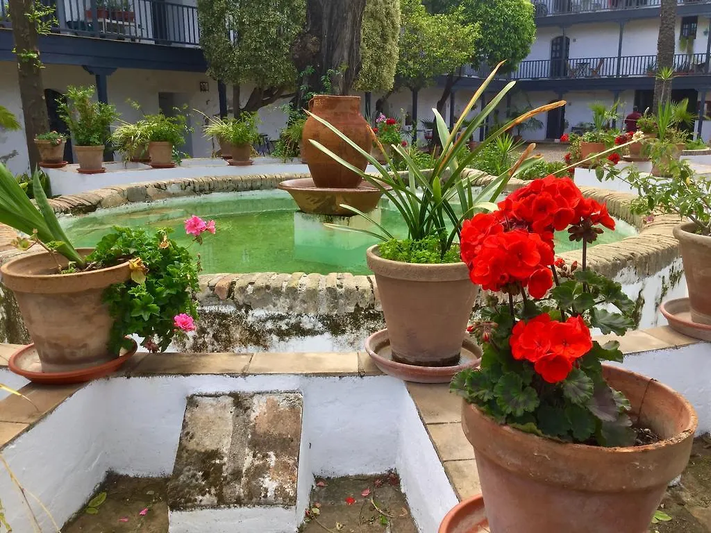 Andalusian Courtyard Lejlighed Sevilla Spanien